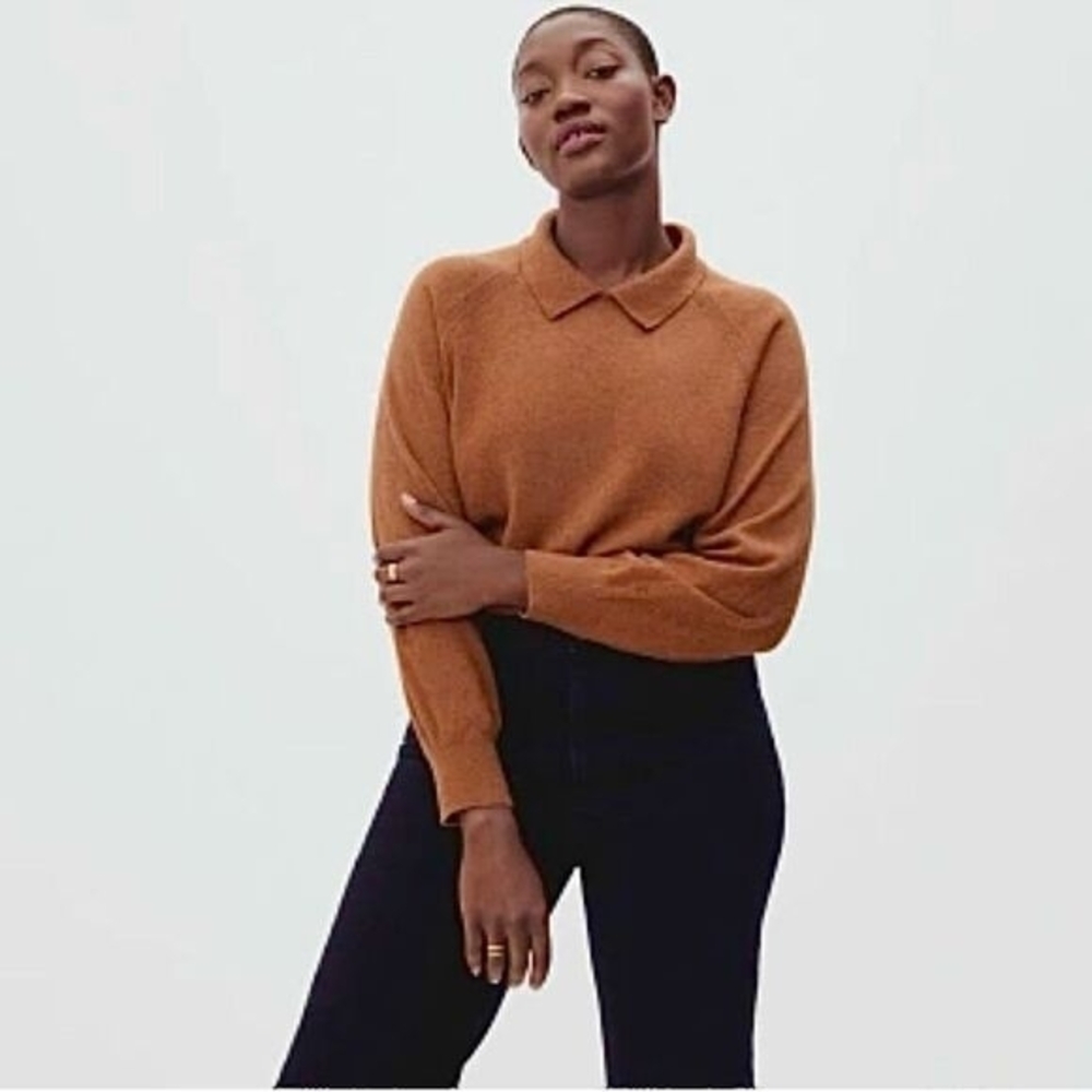 Everlane Cashmere Polo Collared Sweater Xs Brown/Caramel